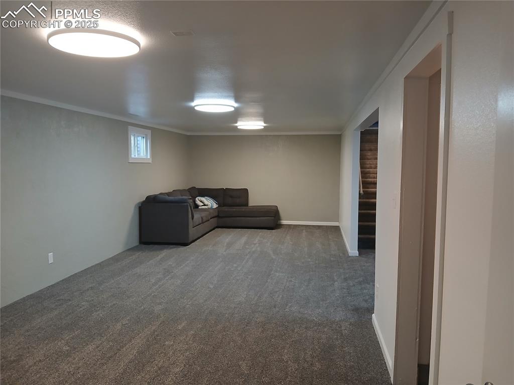 Basement Family Room