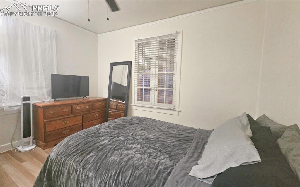 Bedroom with Walk-in Closet