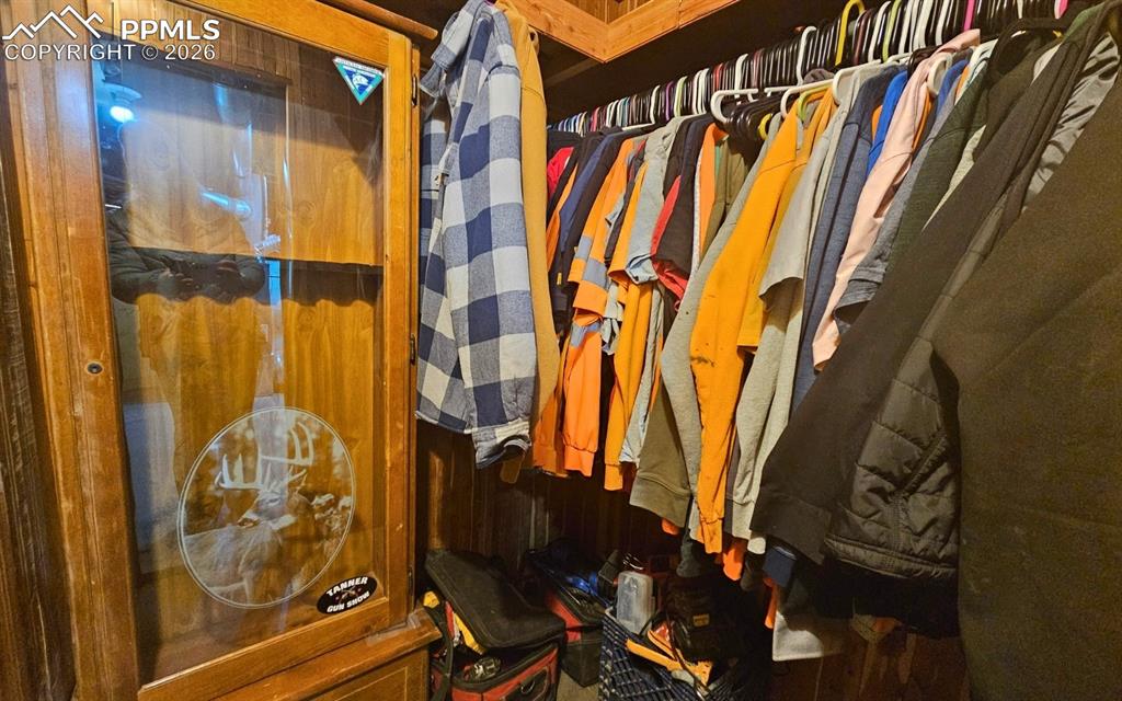 Basement Closet