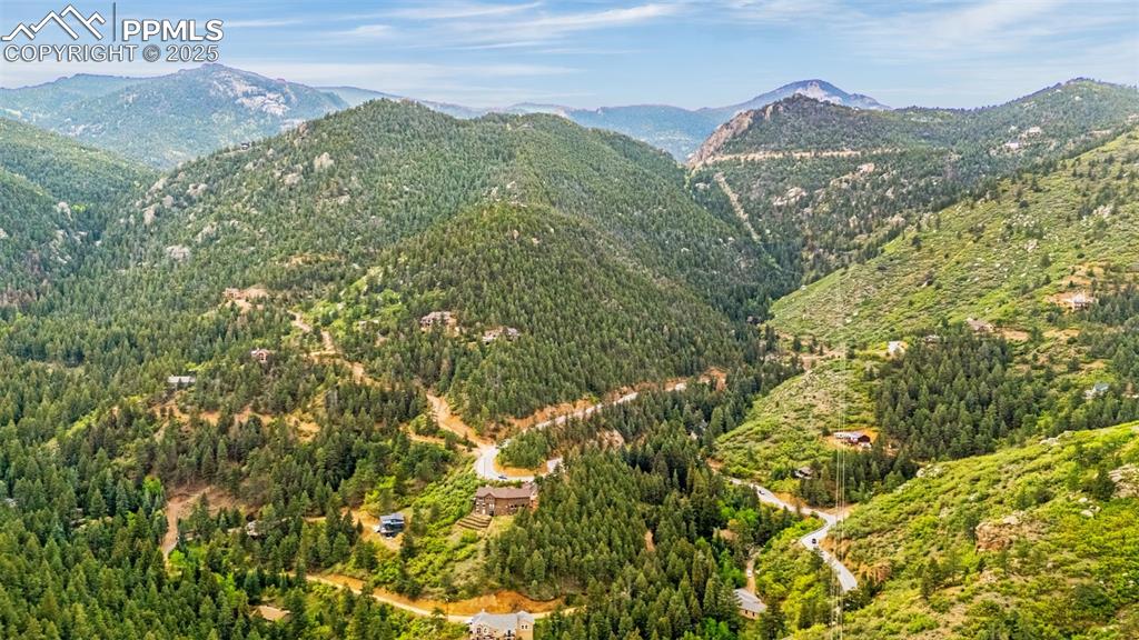 View of mountain background featuring a heavily wooded area