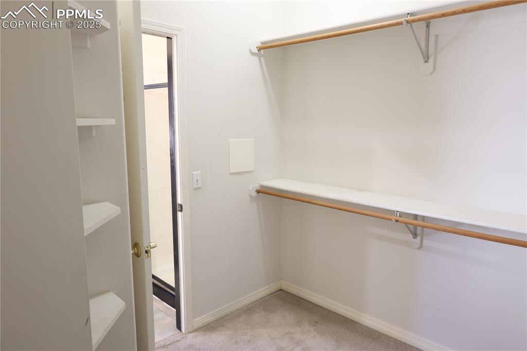 Spacious closet featuring light colored carpet