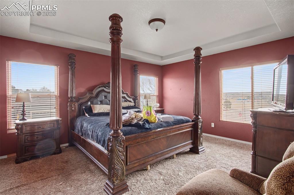 Carpeted bedroom featuring a raised ceiling