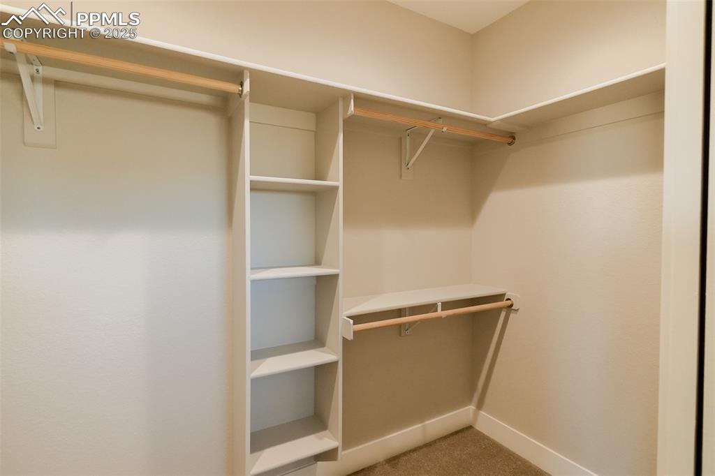 Spacious master closet featuring carpet floors