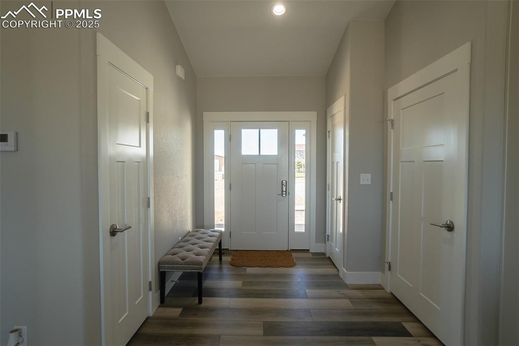 Foyer featuring dark -LTV flooring