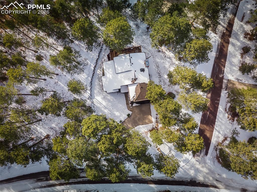 20070 Lofty Pine Lane photo 3