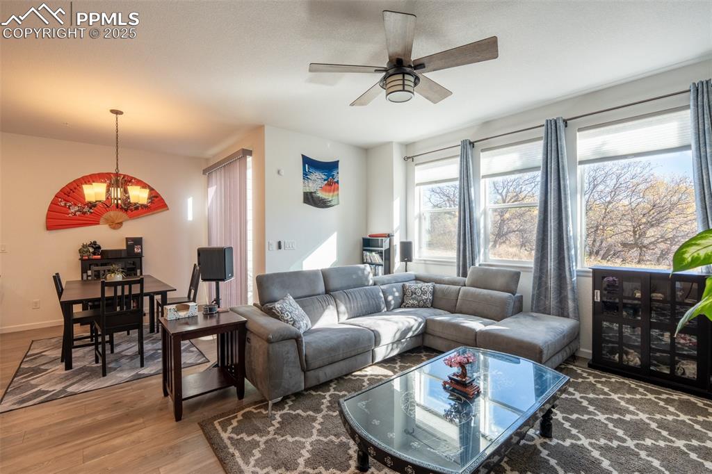 Living room/dining area - main floor