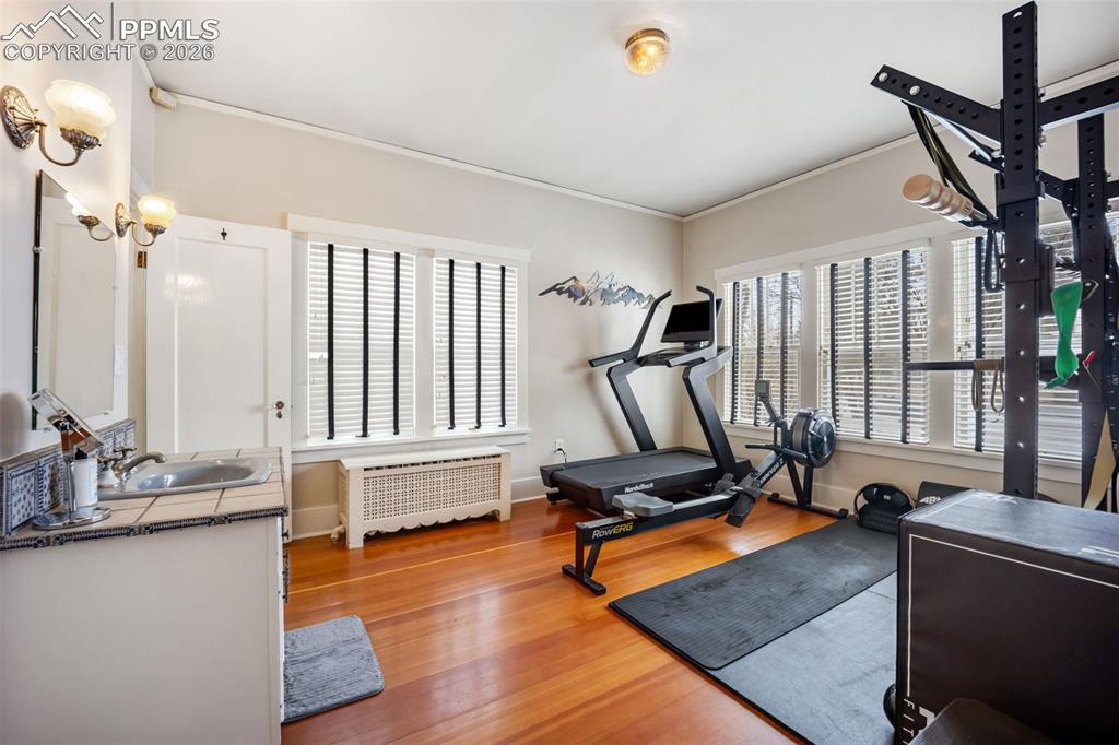 Bedroom/Gym