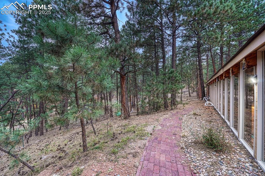 Brick walk way around the back of the property with gorgeous, tall, mature trees for privacy and shed.