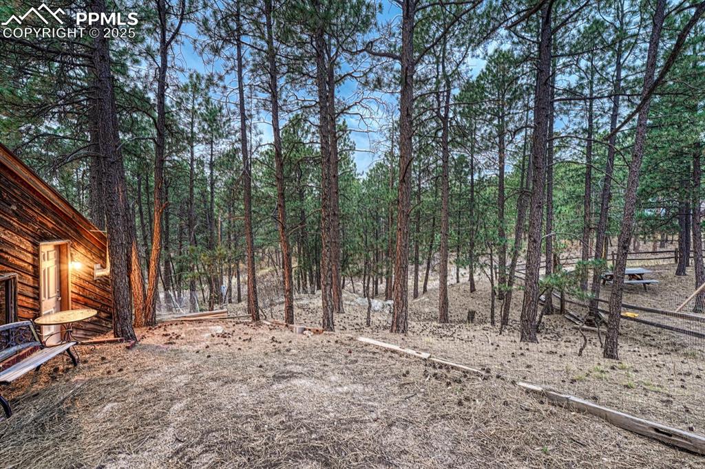 Side yard with views of the o.64 acre treed lot.