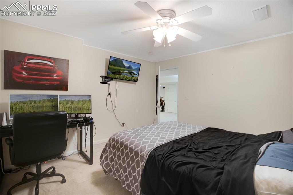 3rd Basement Bedroom