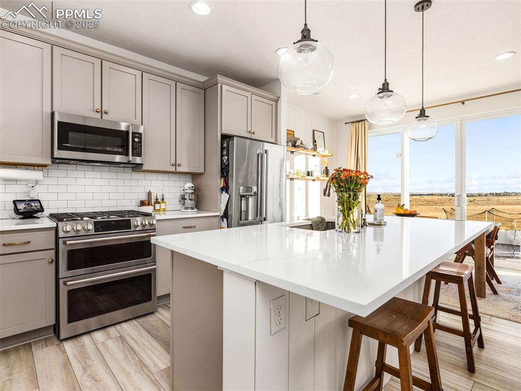 8069 Buffalo Horn Drive photo 3