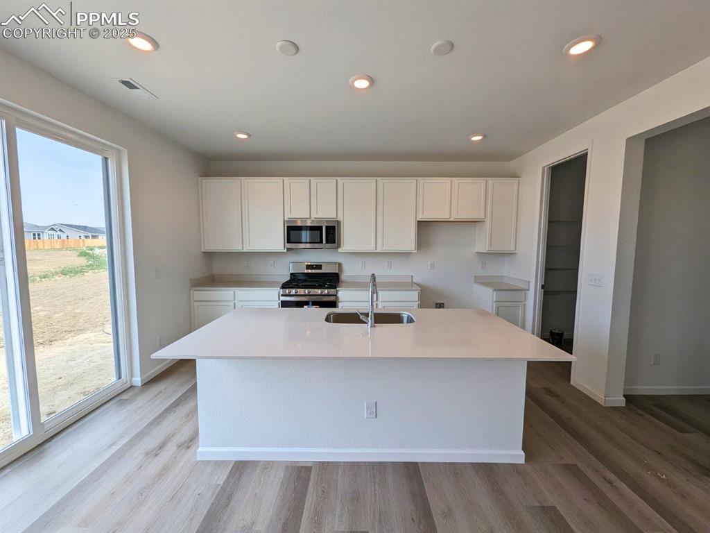 9355 Golden Buffs Drive photo 3