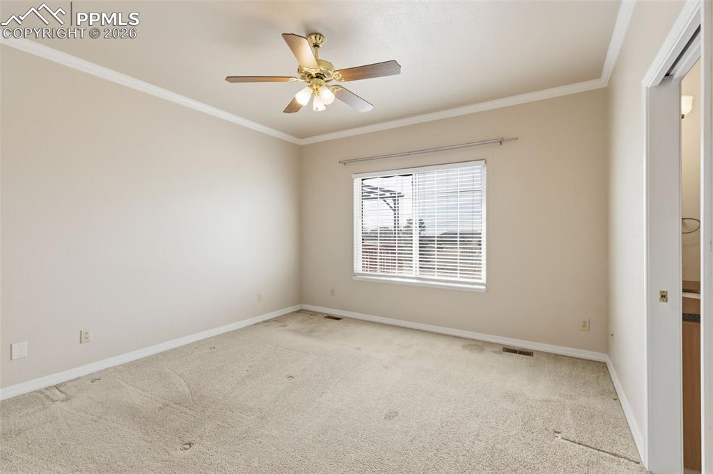 Spare room with ornamental molding, carpet, and a ceiling fan