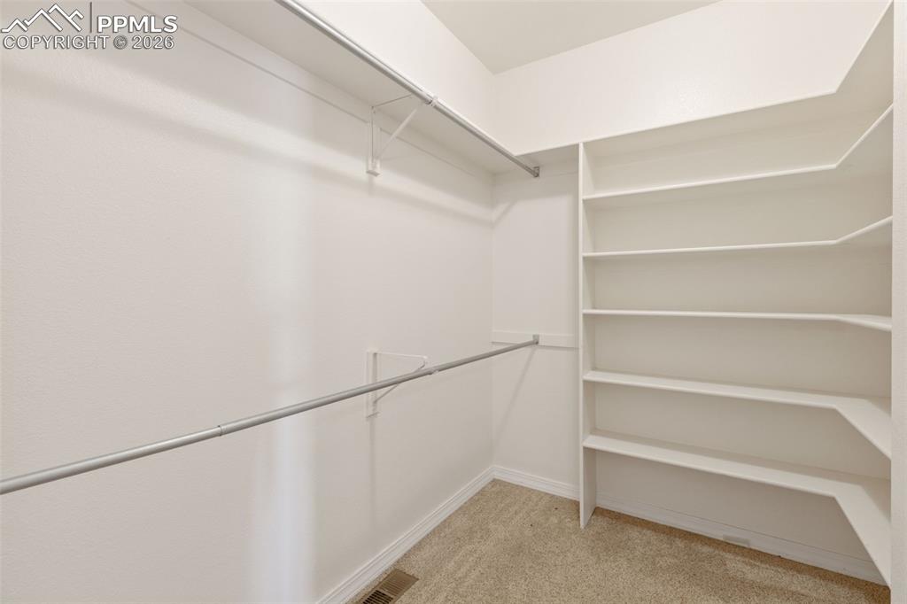 Walk in closet featuring light carpet