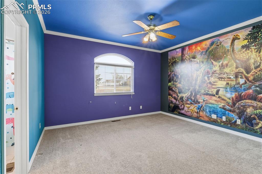 Unfurnished room with ceiling fan, carpet, and ornamental molding