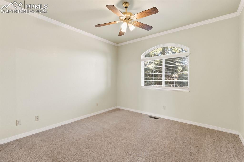 Carpeted empty room featuring crown molding and a ceiling fan