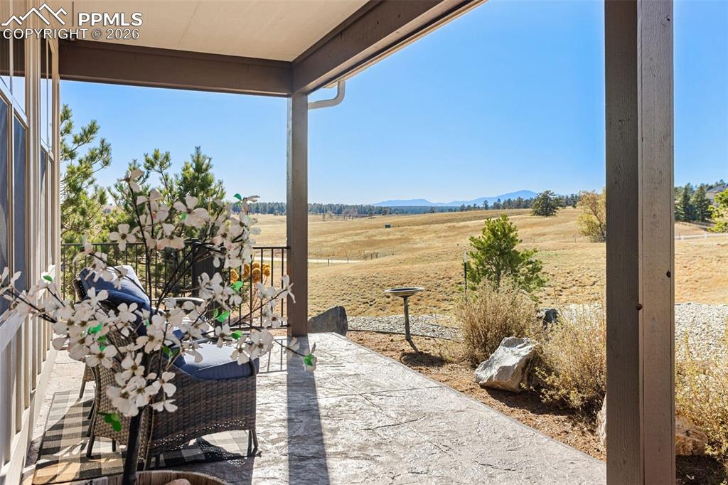 16835 E GOSHAWK Road photo 2