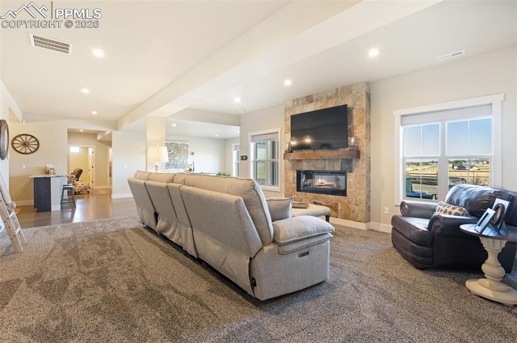 basement with walkout and fireplace