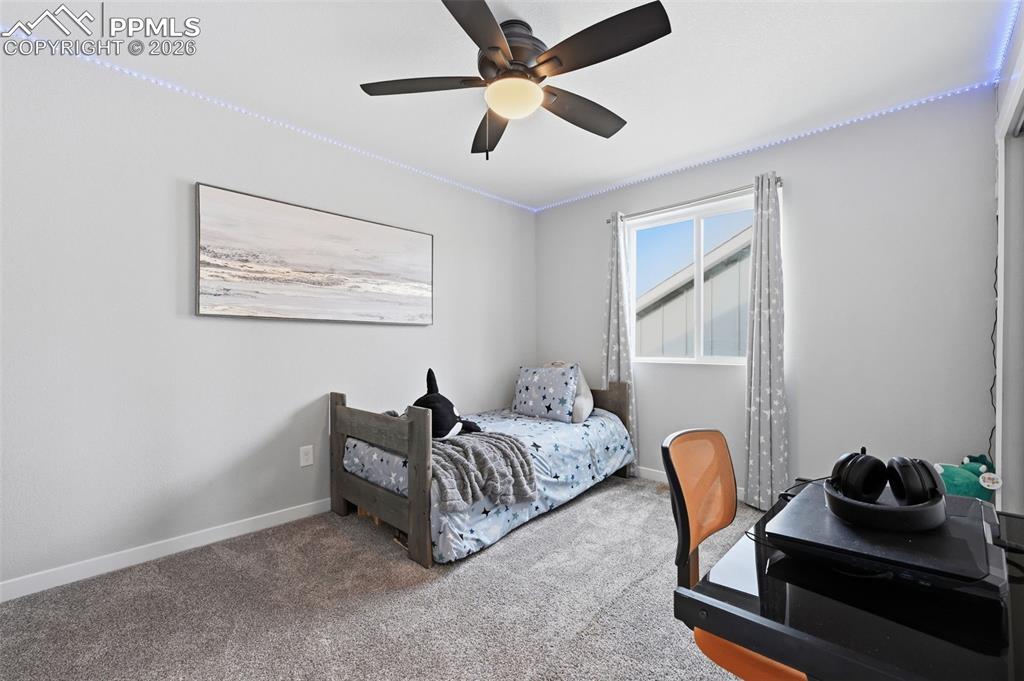 Spacious Bedroom with large window