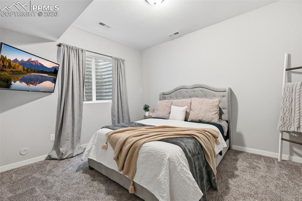 Basement bedroom with walk-in closet