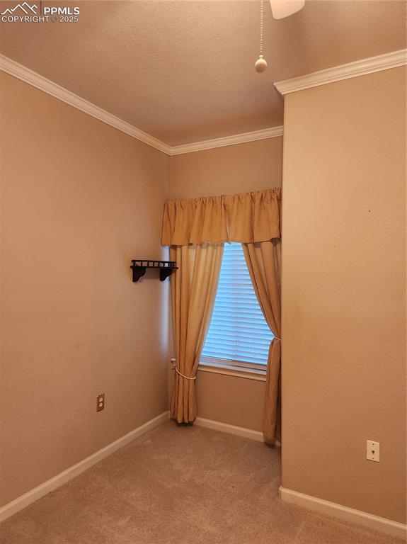 Carpeted spare room featuring ornamental molding and a textured ceiling