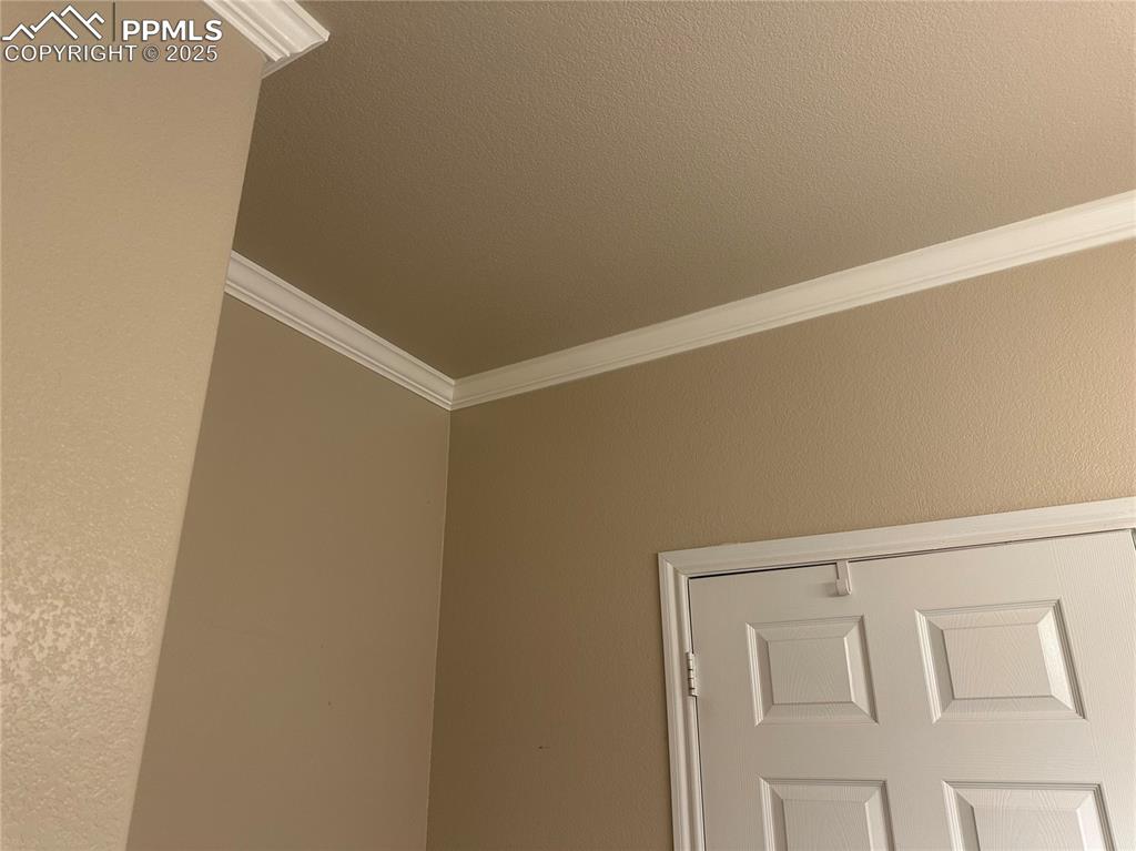 Detailed view of ornamental molding