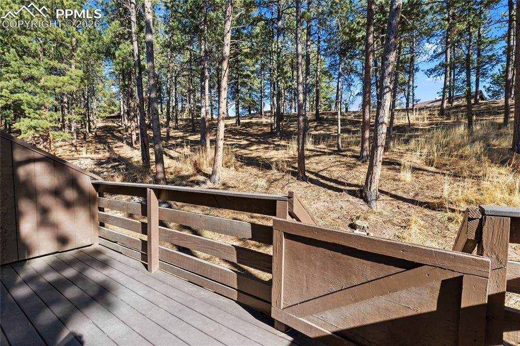 The back deck with tall mature trees!