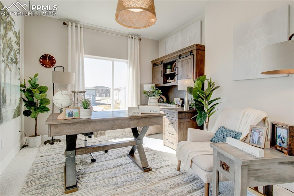 Office space with light colored carpet