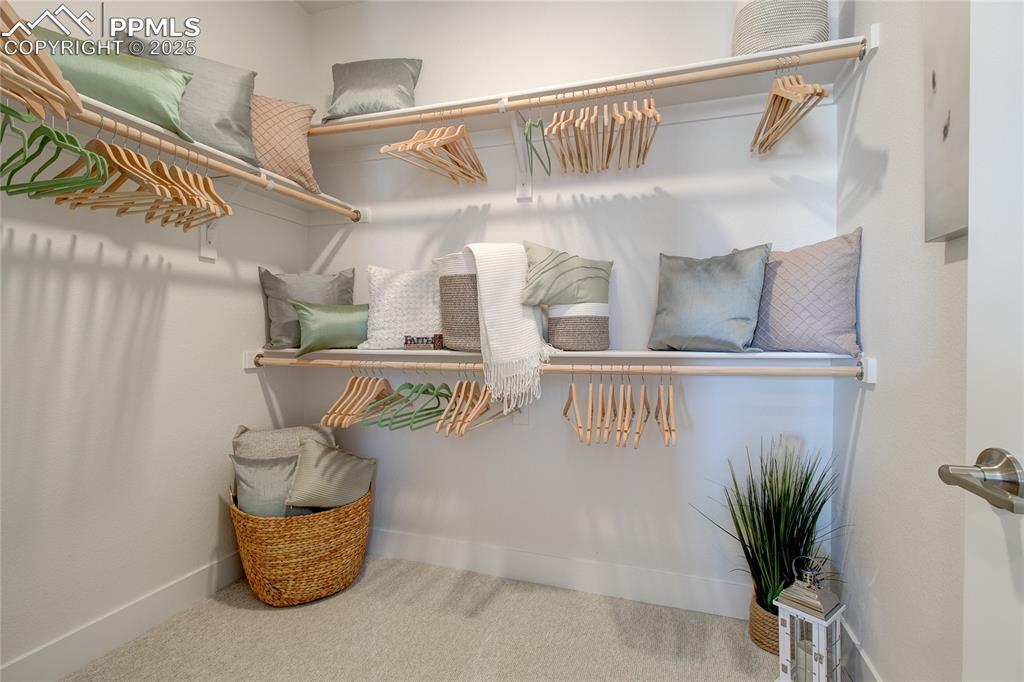 Walk in closet with carpet