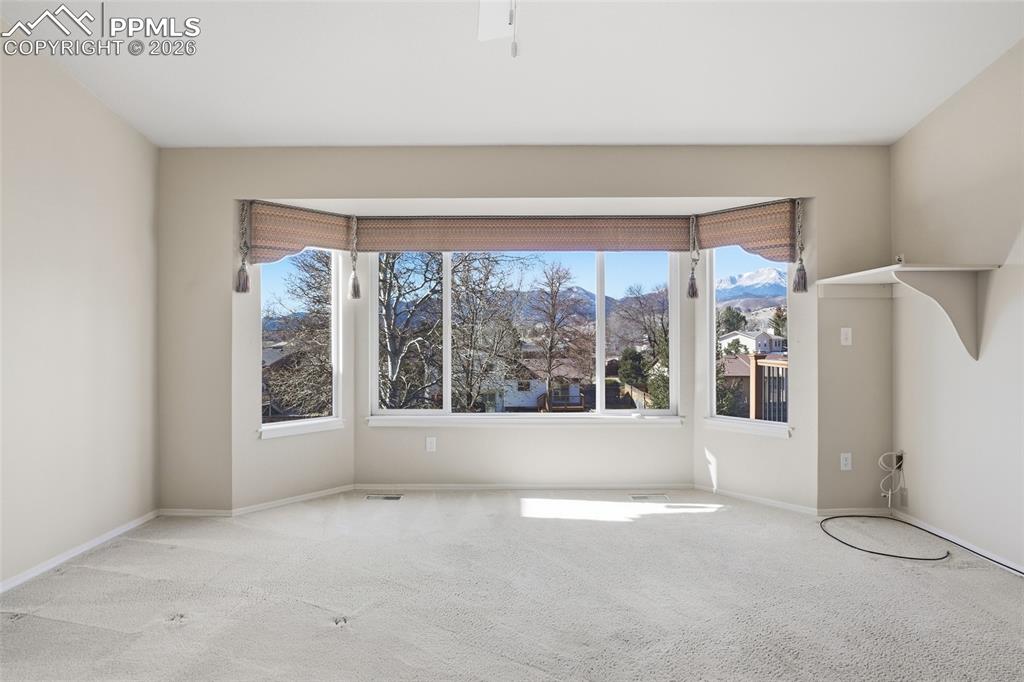 Spare room featuring carpet flooring, healthy amount of natural light, and a mountain view