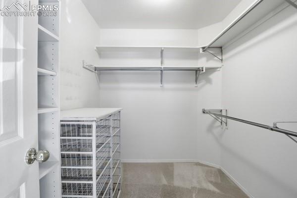 Walk in closet with light colored carpet
