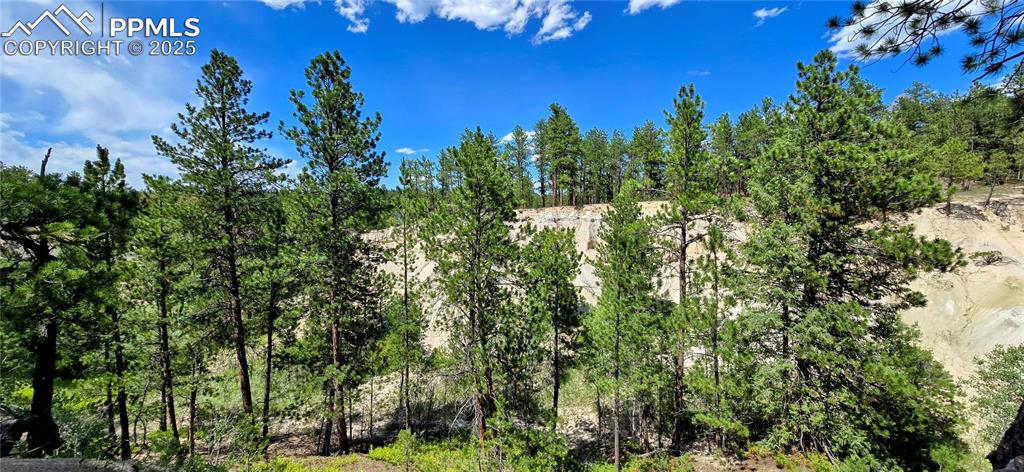 View of local wilderness