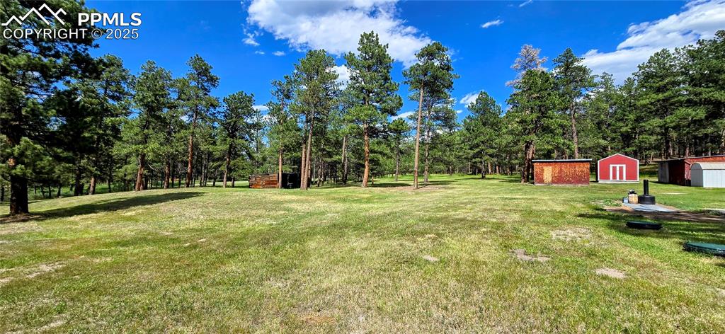 View of green lawn with a storage unit