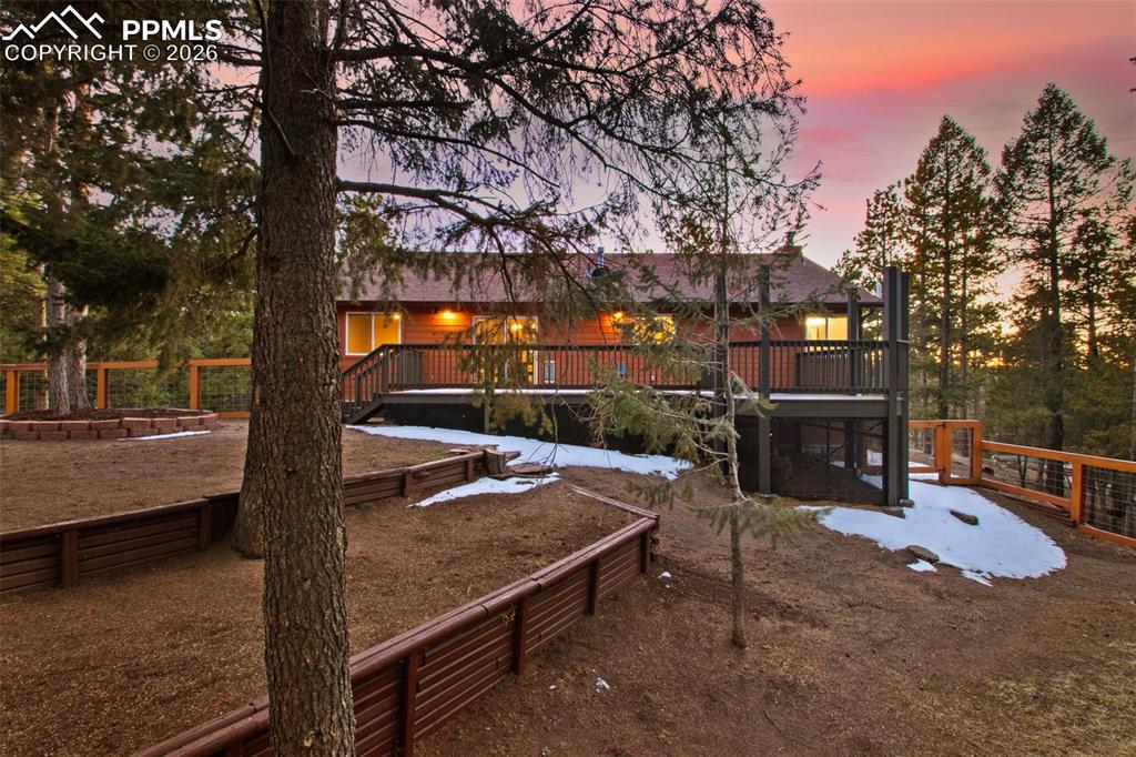 Expansive Woodland Deck Retreat