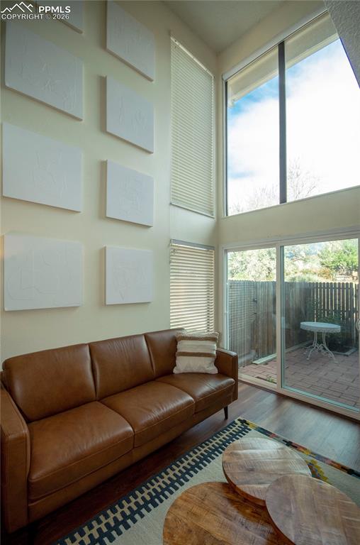 Living room - lots of natural light
