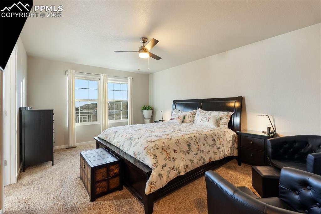 Spacious primary bedroom with abundant natural light.