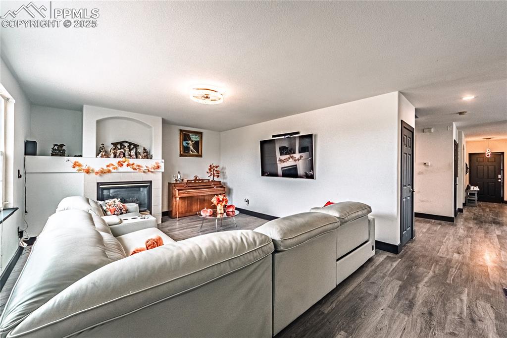 Living room featuring wood finished floors and a fireplace