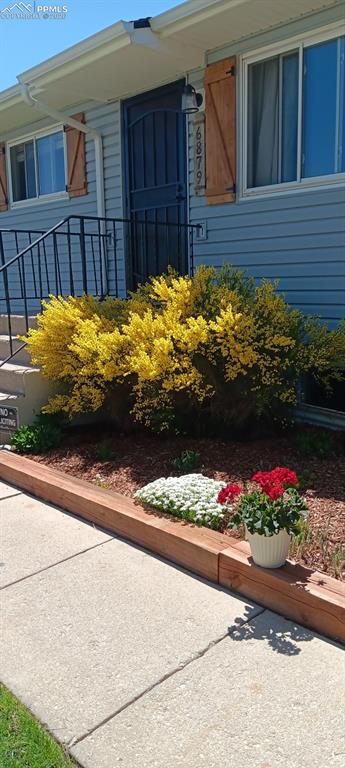 6879 Chippewa Road photo 3