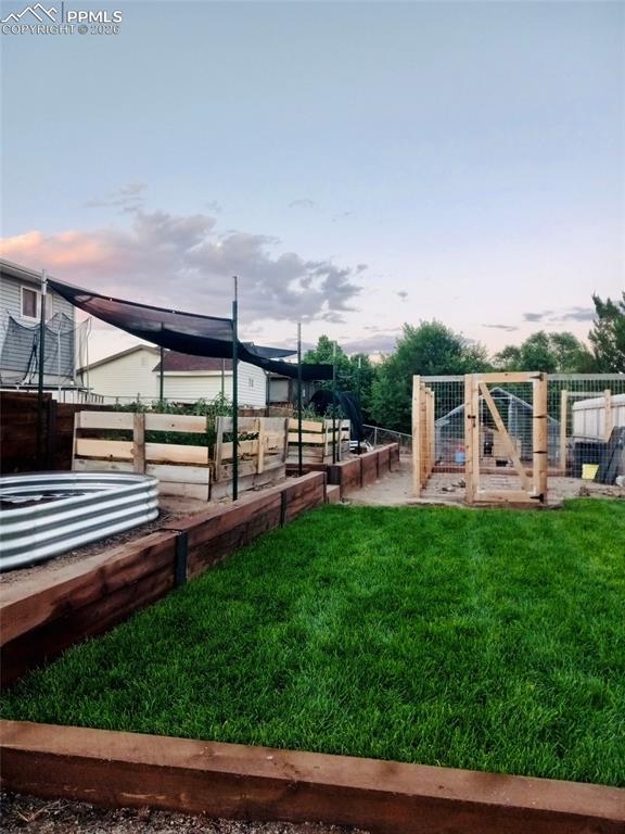 View of yard in the Summer.