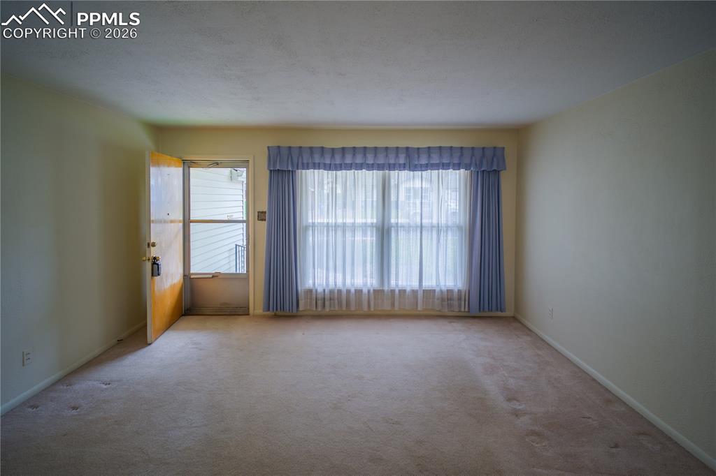 Large front room with freshly cleaned carpet but underneath lies the original wood floor