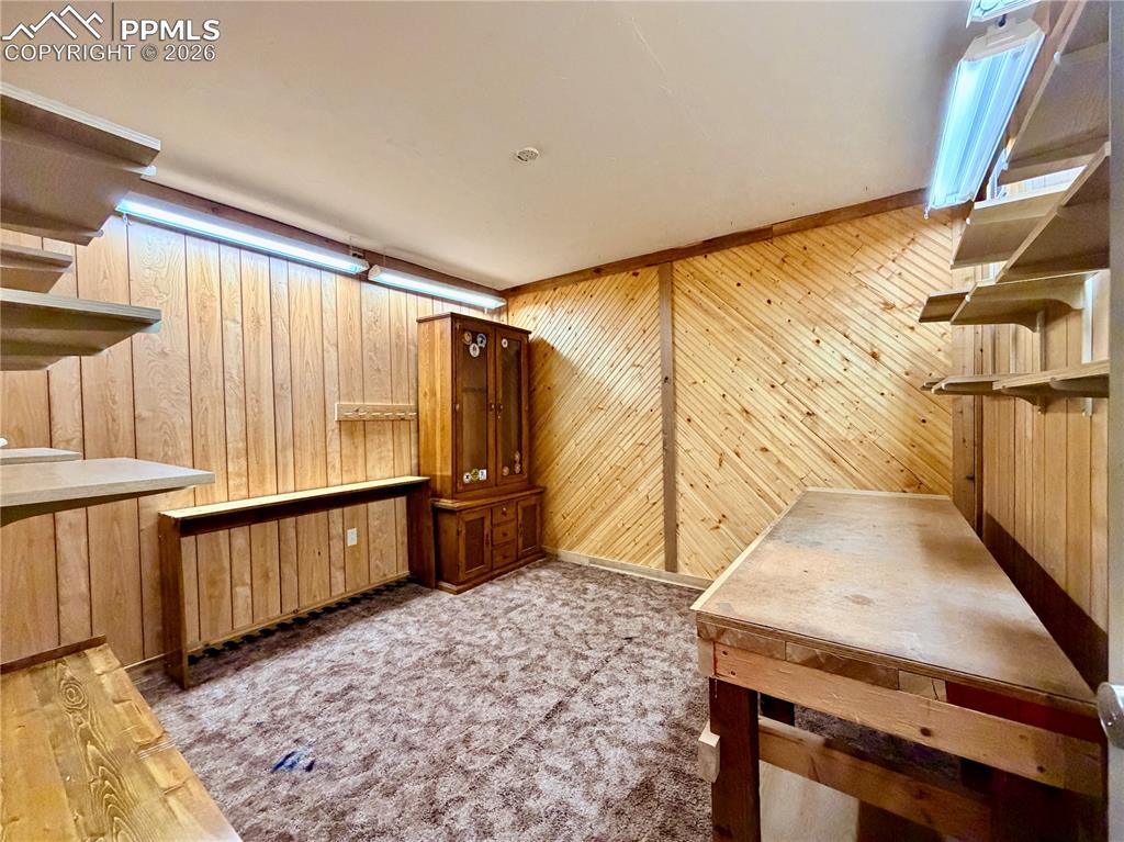 Safe Room and workshop
