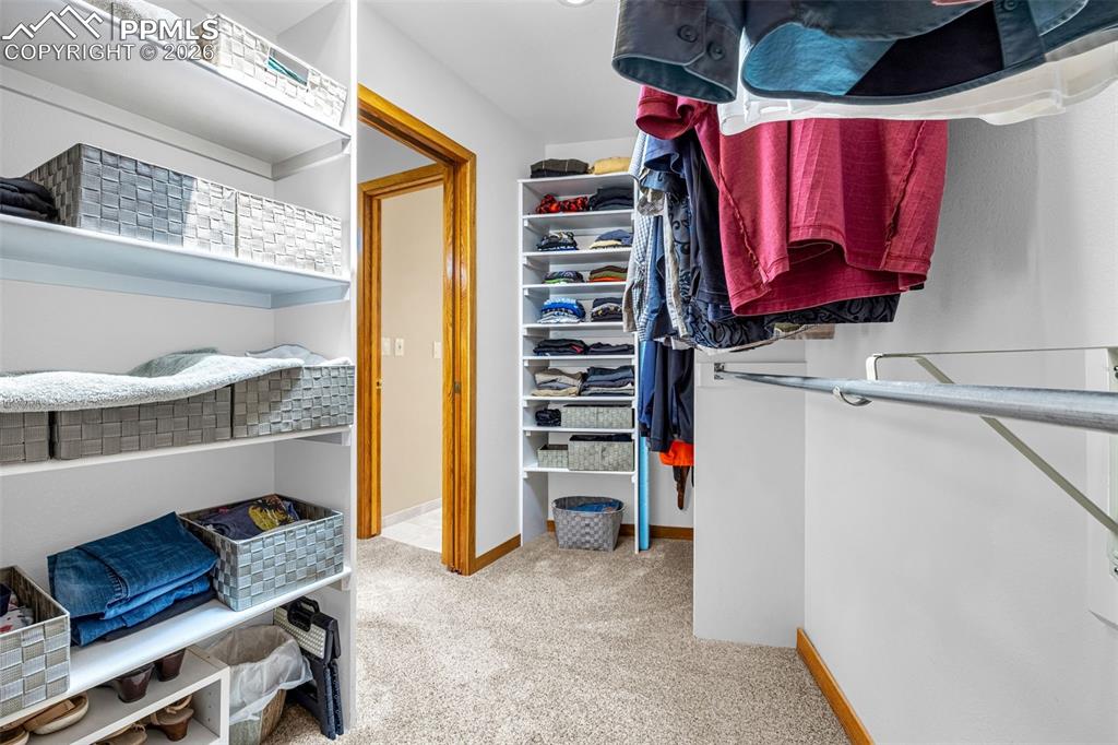 Walk in closet with light colored carpet