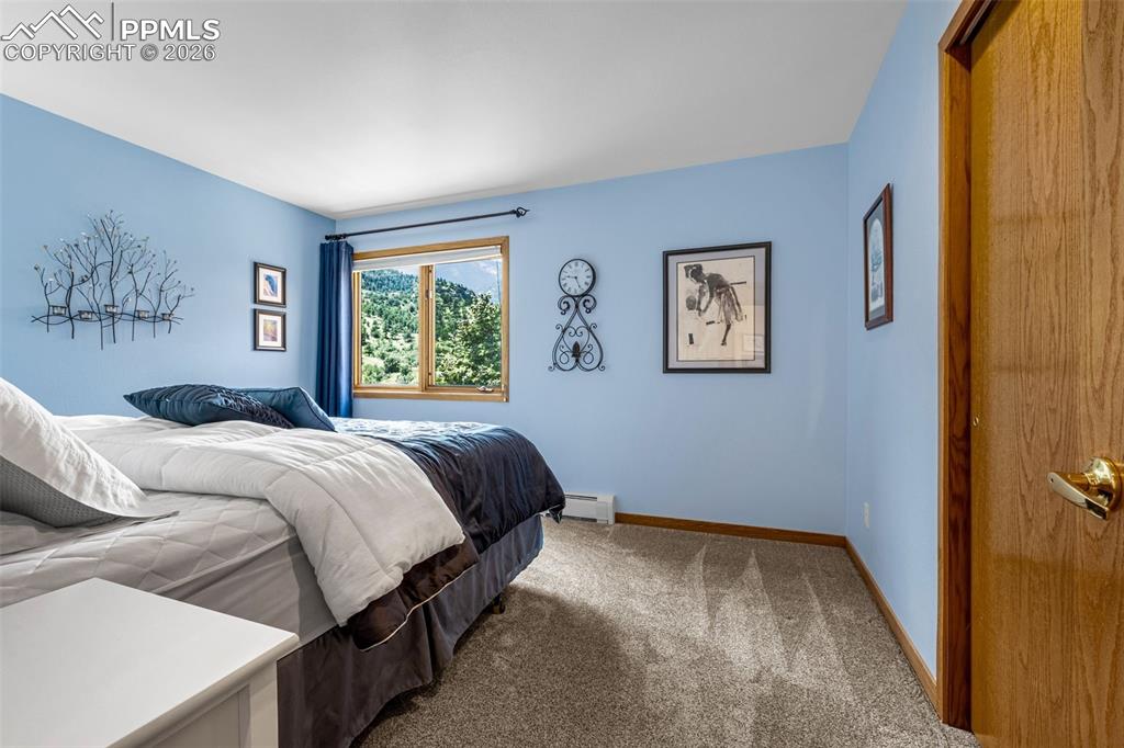 Bedroom featuring light colored carpet and a baseboard radiator