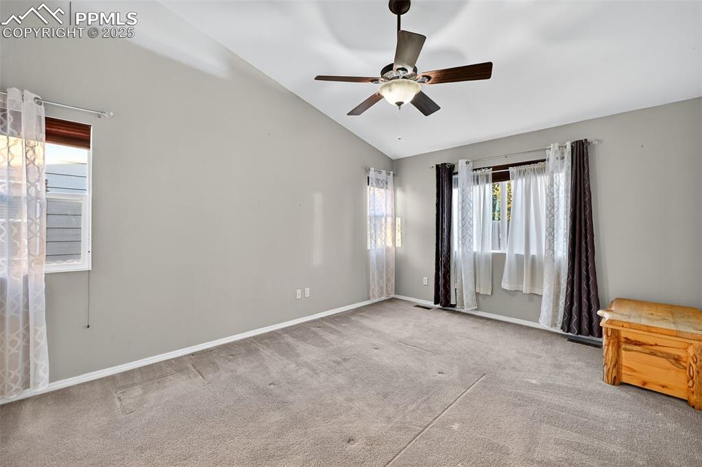 All blinds and curtains stay. 