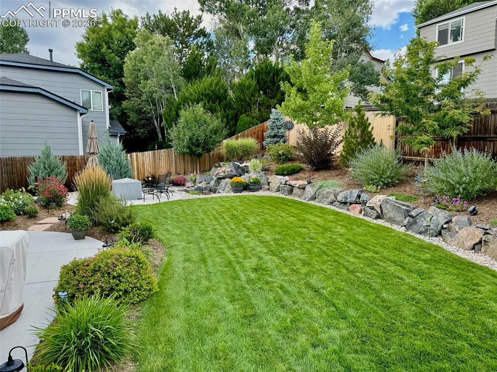 Summer time lush green grass