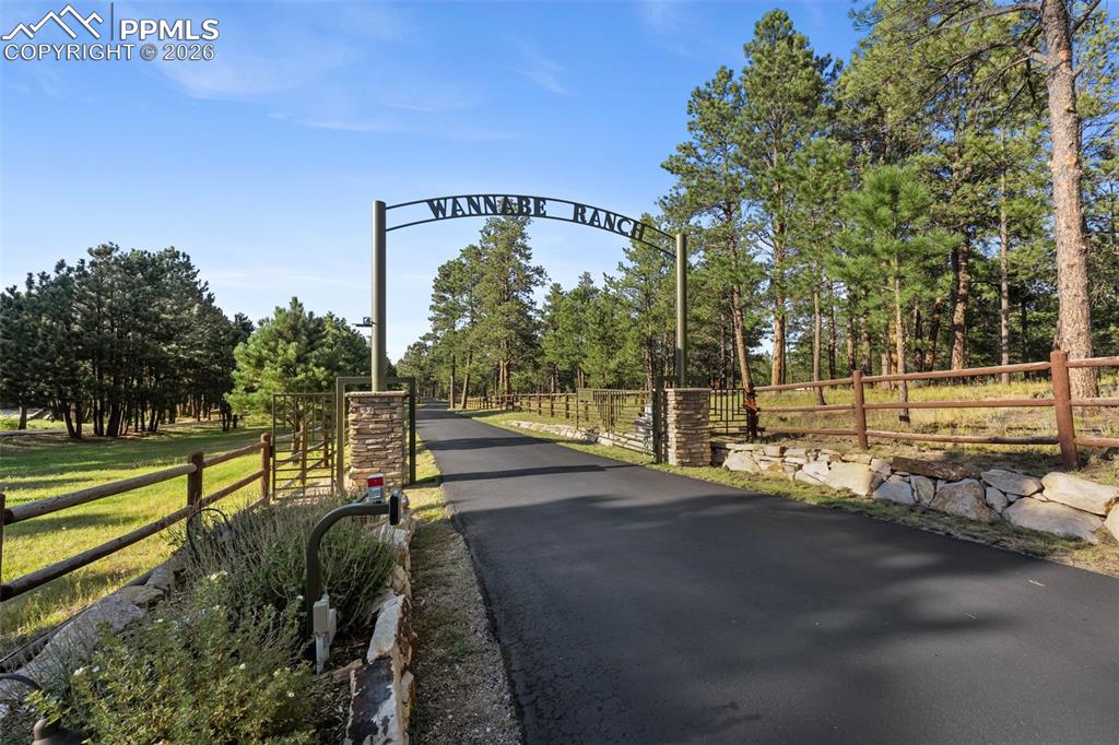 12155 Spine Creek Place photo 3