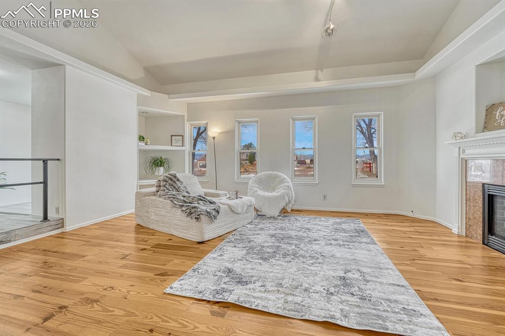Living room with built-ins and gas fireplace