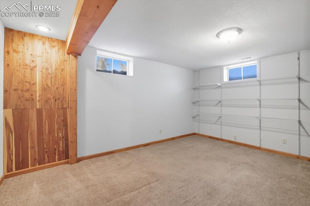 Below grade area featuring wood walls and light carpet