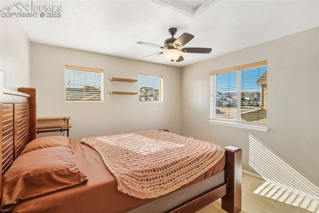 Bedroom featuring multiple windows, ceiling fan, carpet flooring, and a textured ceiling