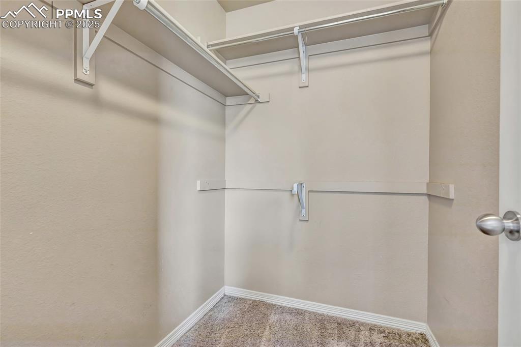 Walk in closet with carpet flooring